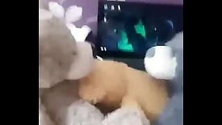 Hot furries threesome