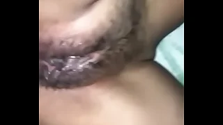 Compilaci&oacute;n de co&ntilde;os peludos mexicanos