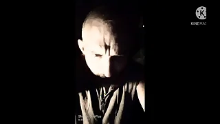 DIVA DICK Carry the in the Afternoon