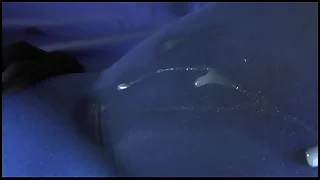 Blue pantyhose fuck and cum