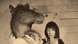 Fruit Babes Concerning Pets